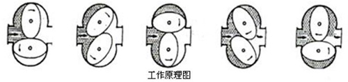 衛生級橢圓齒輪流量計工作原理圖